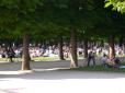  foule prenant le solel sur les pelouses du jardin du Luxembourg